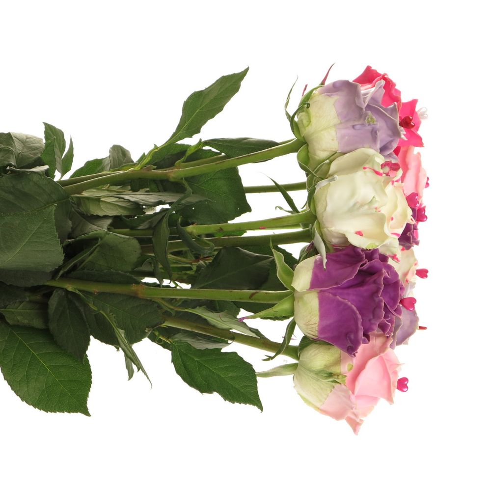 Rose wachs mix Choco Sweethart 70cm duftend