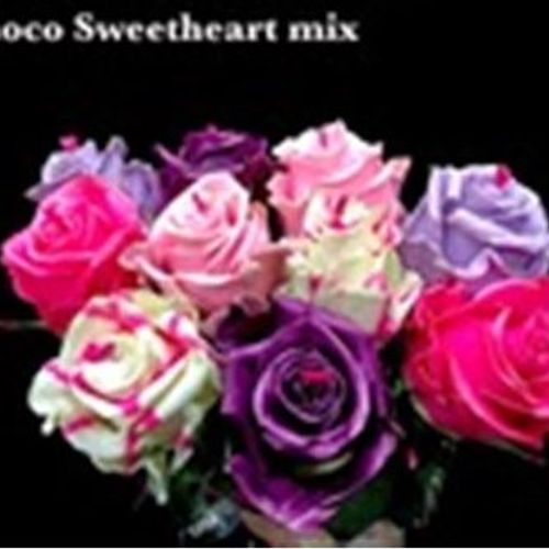 Rose wachs mix Choco Sweethart 70cm duftend