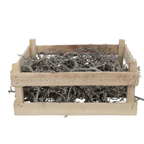 Bonsai im Holzkiste gebleicht 1kg