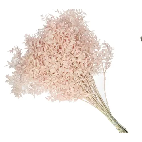 Trocken Ruskus hell rosa L65cm