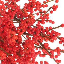 Ilex rot 55cm