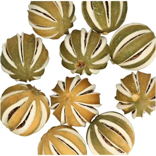 Trocken Apfelsinenfrüchte grün D04cm 250gr