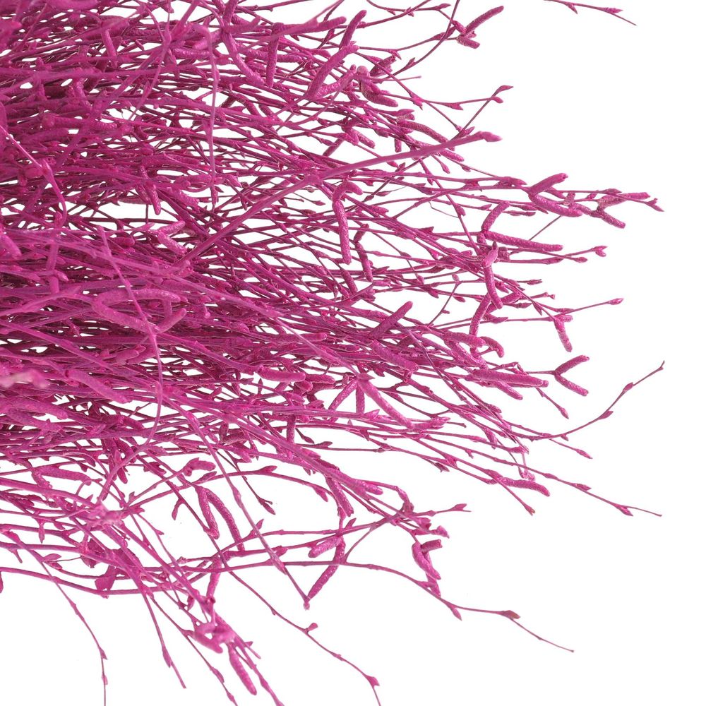 Birke cerise gefärbt 70cm