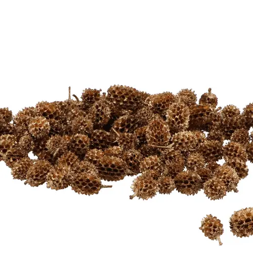 Kasuarinen-Köpfe natur 250gr