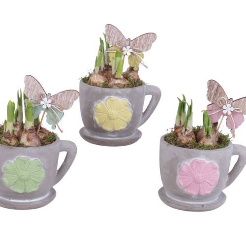 Narzis.Arr mix SN612N0310 T12 H020