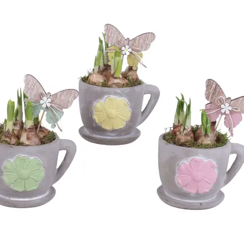 Narzis.Arr mix SN612N0310 T12 H020