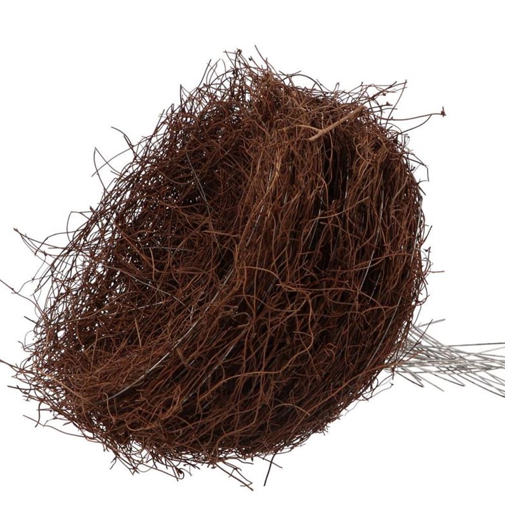 Strausshalter Mühlenbeckia natürlich D25cm