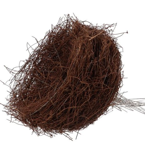 Strausshalter Mühlenbeckia natürlich D25cm