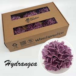 Seiden Wachs Hortensie alt lila