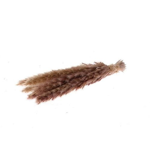 Trocken Hänger Fluffy natur L25cm