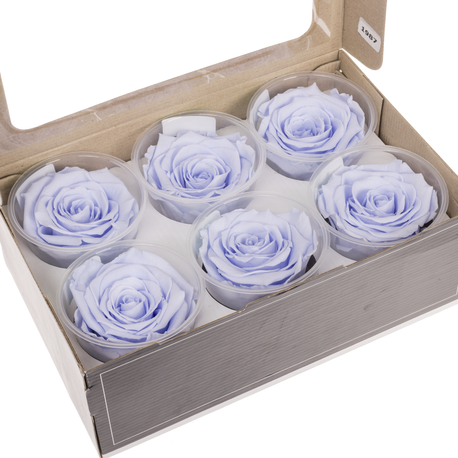 Präparierte Rose milka Vio-89