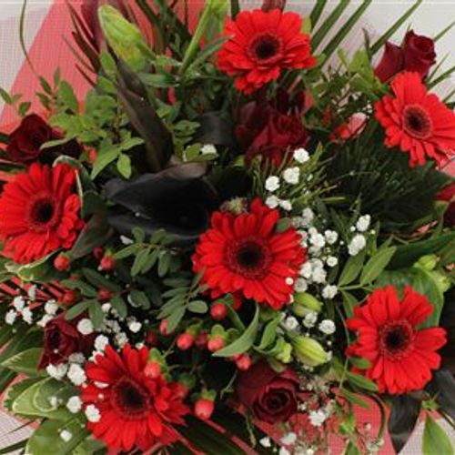 Strauß rot Rosen gross 40 Stiele 40cm