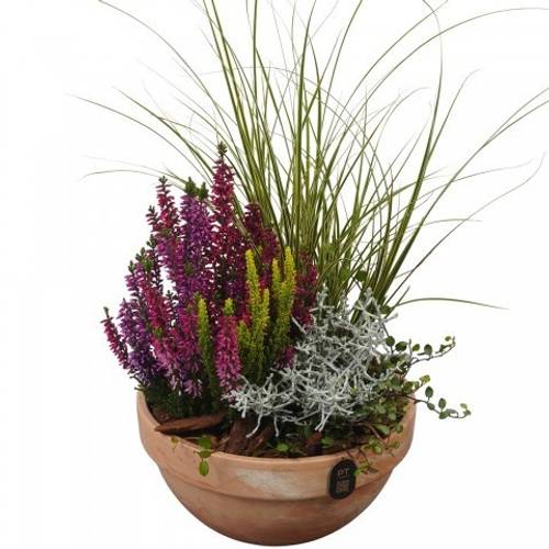 Garten.Arr PTHO7693 Herbst T19 H045