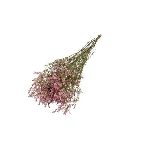 Trocken Limonium Diamond rosa L70cm