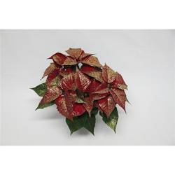Poinsettia rot+glitzer Gold T13 H035