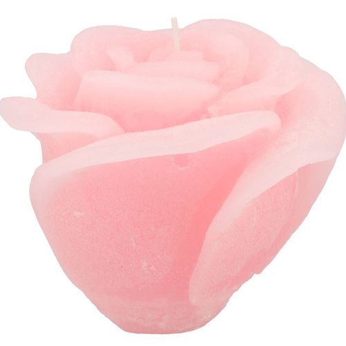 Kerze Rose hell rosa D14cm H12cm
