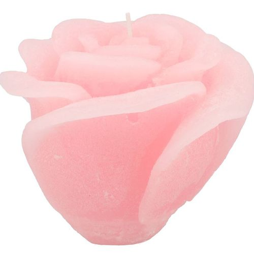 Kerze Rose hell rosa D14cm H12cm