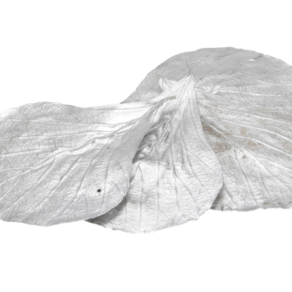 Trocken Cobra Leaves silber x20