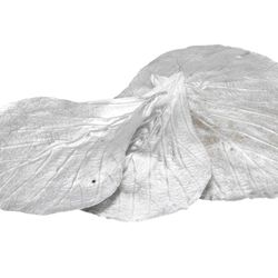 Trocken Cobra Leaves silber x20
