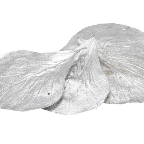 Trocken Cobra Leaves silber x20
