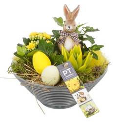 Ostern Arr PTPA8849 T19 H020