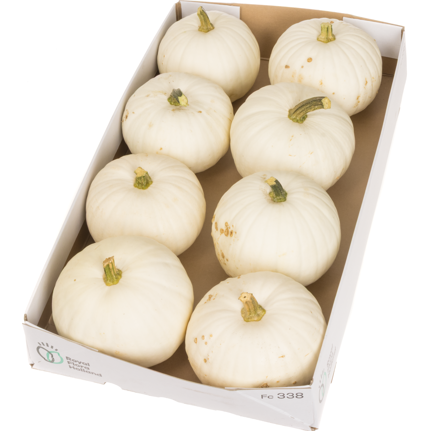 Zierkürbis weiss Halloween 14cm