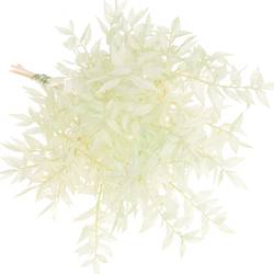 Wilder Ruskus mint gefärbt 70cm