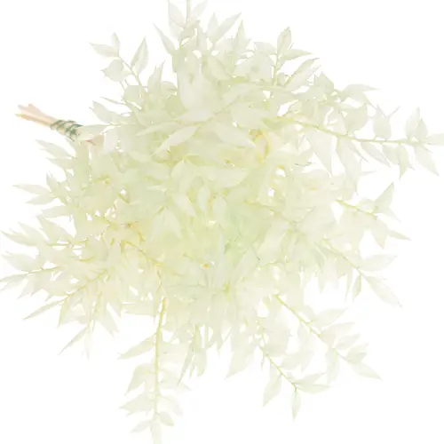Wilder Ruskus mint gefärbt 70cm