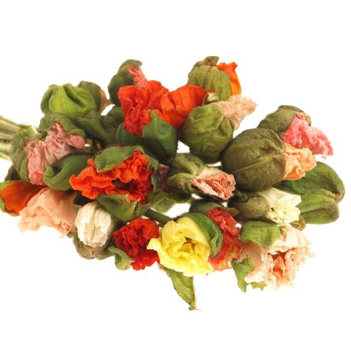 Klatschmohn super gross mix 60cm