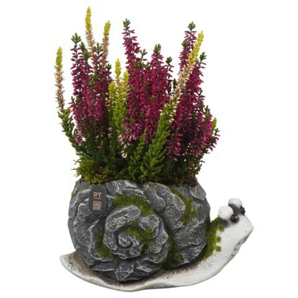 Garten.Arr PTHO7716 Herbst T21 H027