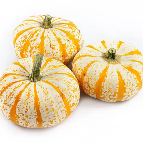 Zierkürbis creme/orange Lil Pumpkemon 12cm