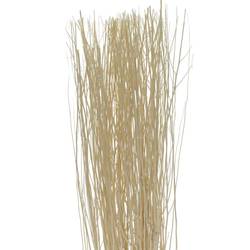 Trocken Zweig Yanagi Bunch weiss L90cm 250gr