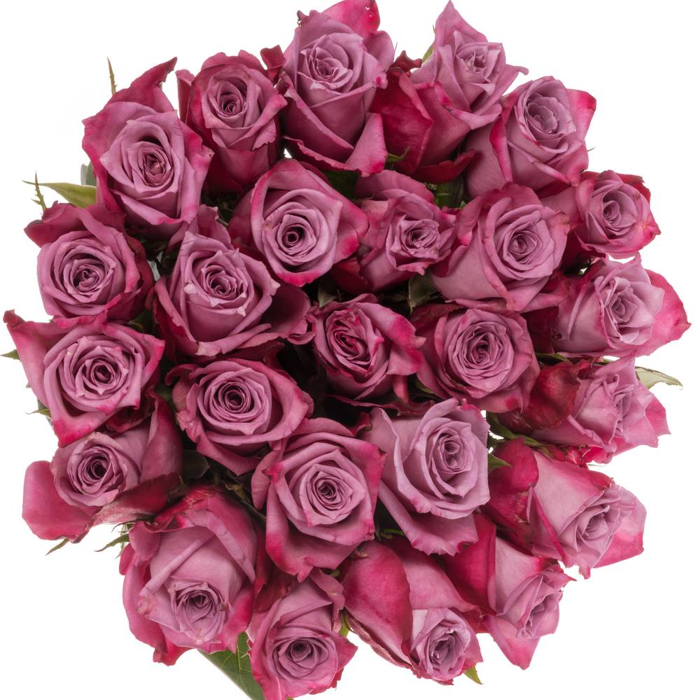 Rose milka Moody Blues (Ec) 40cm