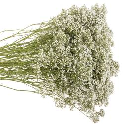 Eisen Gyps weiss Million Star 30 Gramm kl Bl.