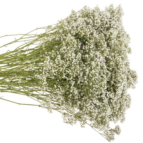 Eisen Gyps weiss Million Star 30 Gramm kl Bl.