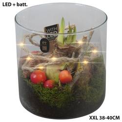 Amaryl.Arr PTAXL2909 Weihnachten LED T19 H020