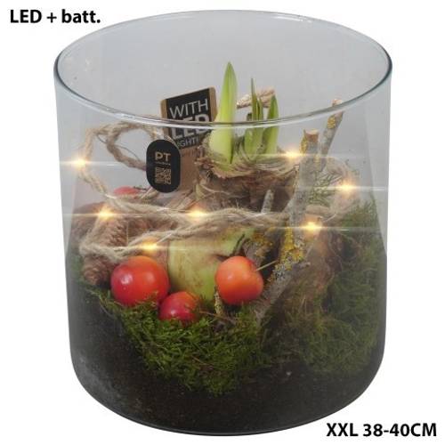 Amaryl.Arr PTAXL2909 Weihnachten LED T19 H020