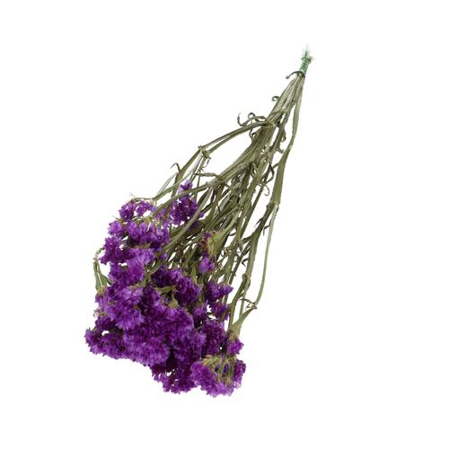 Trocken Limonium Statice dunkel lila L70cm