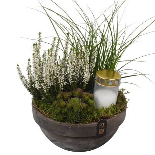 Garten.Arr PTAH3078 Allerheiligen T23 H035