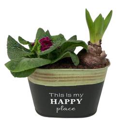 Garten.Arr im Zink 640 T16 H017