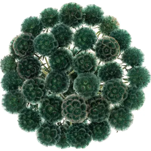 Sternkugel dunkel grün gefärbt 60cm