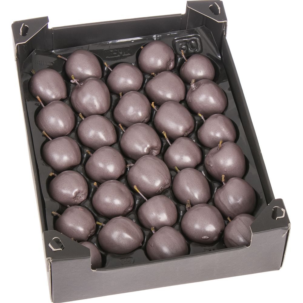 Apfel taupe Wachs D5cm