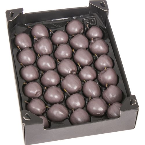 Apfel taupe Wachs D5cm