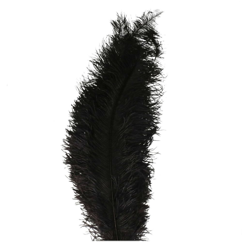 Straussenfedern schwarz L55cm x5