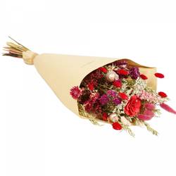 Trockenblumen Strauss Field rot L60cm