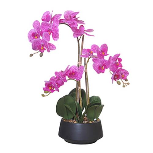 Orchidee im Keramiktopf fuchsia H58cm