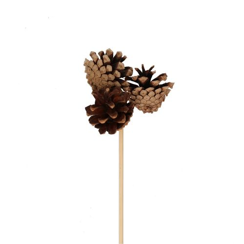 Zapfen auf Stab natur D3.5cm H50cm