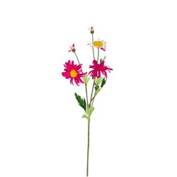Seiden Margerite fuchsia L65cm
