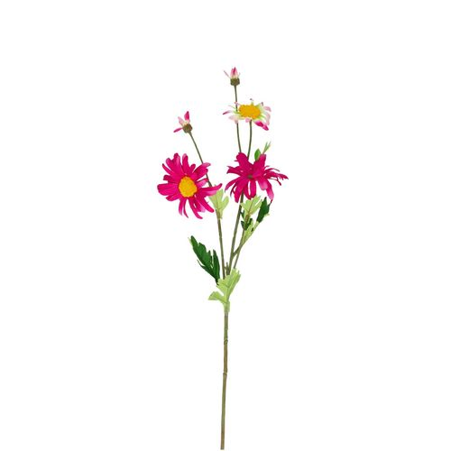 Seiden Margerite fuchsia L65cm