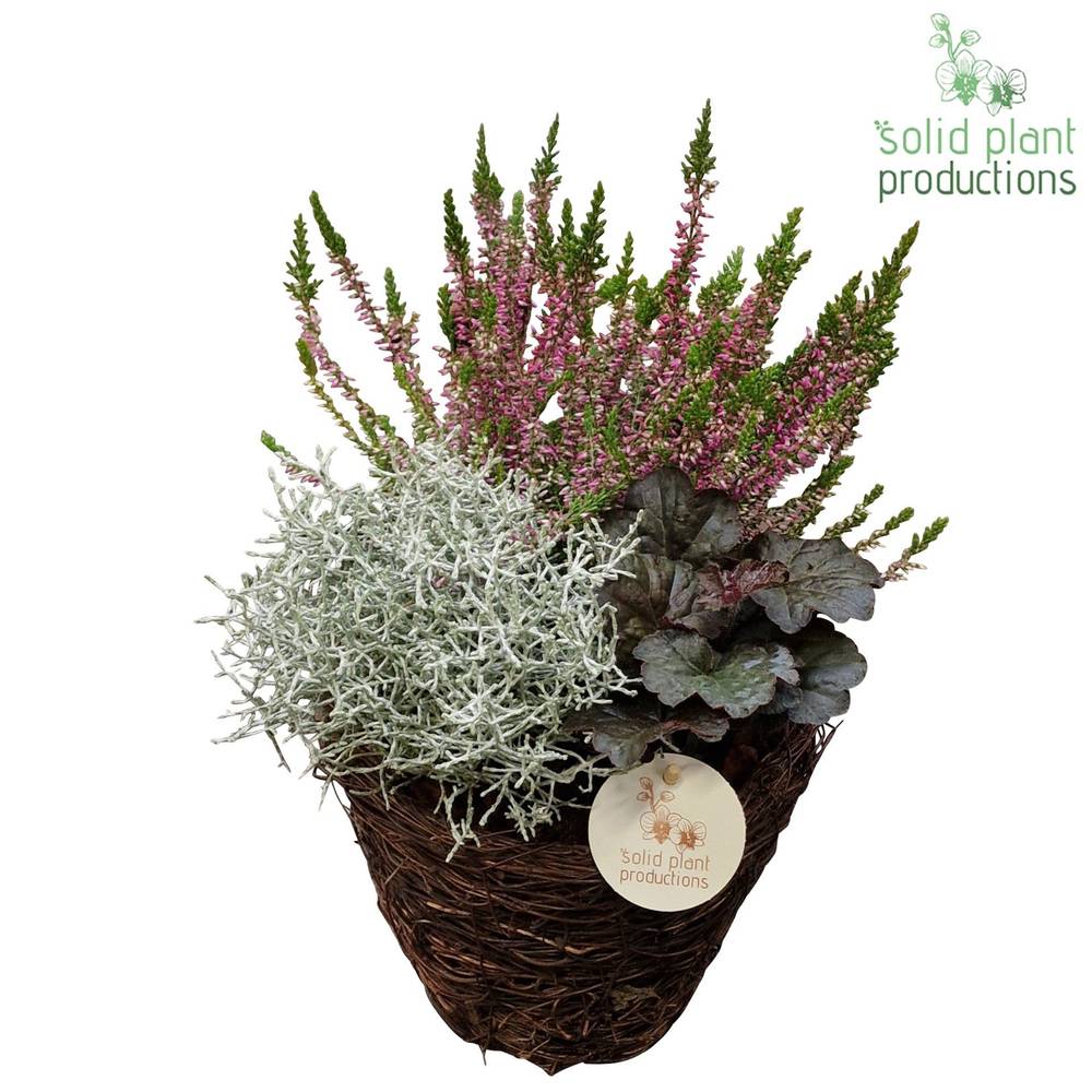 Garten.Arr SBS001 B Small Herbst T20 H030